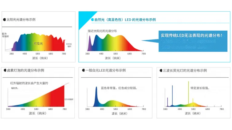 Image 1. Natural Light LED Solutions 