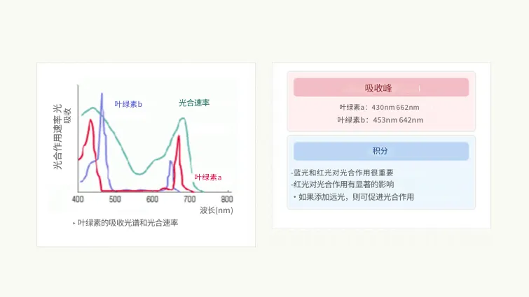 图像1. 农业生物照明解决方案